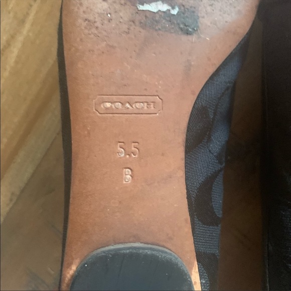 Coach - Picture 5 of 6